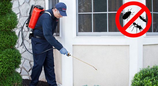 Suşehri Böcek İlaçlama böcek ilaçlama ve haşere kontrolü — ilaclama-tr.com